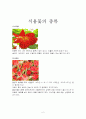식용꽃에 관하여 5페이지
