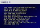사업계획서 5페이지