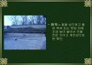 창덕궁을 다녀와서 7페이지