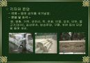 창덕궁을 다녀와서 13페이지
