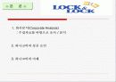 락앤락 마케팅분석(A+레포트) 12페이지