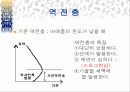 스모그(smog)가 인체에 미치는 영향 대책방안 7페이지