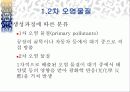 스모그(smog)가 인체에 미치는 영향 대책방안 9페이지