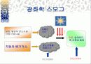 스모그(smog)가 인체에 미치는 영향 대책방안 11페이지