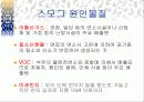 스모그(smog)가 인체에 미치는 영향 대책방안 12페이지
