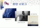 스모그(smog)가 인체에 미치는 영향 대책방안 14페이지