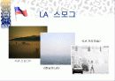 스모그(smog)가 인체에 미치는 영향 대책방안 17페이지