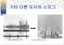 스모그(smog)가 인체에 미치는 영향 대책방안 20페이지