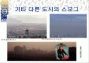 스모그(smog)가 인체에 미치는 영향 대책방안 21페이지
