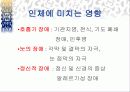 스모그(smog)가 인체에 미치는 영향 대책방안 22페이지