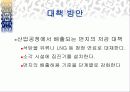 스모그(smog)가 인체에 미치는 영향 대책방안 24페이지