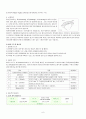 패러글라이딩 6페이지