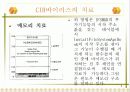 CIH 바이러스 6페이지