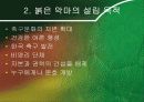 붉은 악마와 마케팅 6페이지