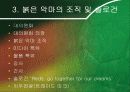 붉은 악마와 마케팅 7페이지