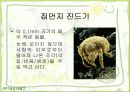 가정환경과 건강(진드기,해충,새집증후군,전자파) 4페이지