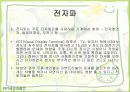 가정환경과 건강(진드기,해충,새집증후군,전자파) 15페이지