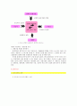 기업 경영환경 분석 - 서울 디즈니랜드 5페이지