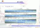 에버랜드 마케팅 전략 5페이지