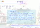 에버랜드 마케팅 전략 8페이지