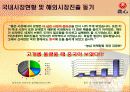 신라면의 중국시장진출전략 4페이지