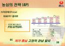 신라면의 중국시장진출전략 15페이지