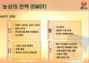 신라면의 중국시장진출전략 22페이지