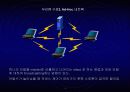 무선랜 (wireless Lan) 28페이지