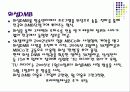 위성 DMB와 지상 DMB의 역사와 기술 방법 및 상세한 비교분석 5페이지