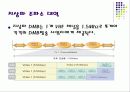 위성 DMB와 지상 DMB의 역사와 기술 방법 및 상세한 비교분석 9페이지