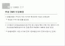 위성 DMB에 대한 이해와 기술·시장·해외 현황 및 문제점과 전망 & 발전방향 제언 7페이지