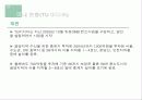 위성 DMB에 대한 이해와 기술·시장·해외 현황 및 문제점과 전망 & 발전방향 제언 13페이지