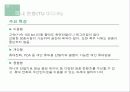 위성 DMB에 대한 이해와 기술·시장·해외 현황 및 문제점과 전망 & 발전방향 제언 14페이지