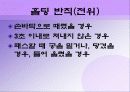 시각장애인 배구 25페이지