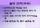 시각장애인 배구 26페이지