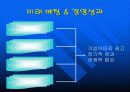 풀무원과 CJ의 기업실사비교... 19페이지