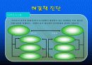 풀무원과 CJ의 기업실사비교... 46페이지