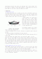 오스람 코리아 경영 분석 12페이지