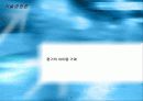 [기술경영론]아이템 거래의 사업 가능성 분석 11페이지