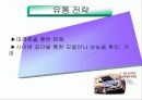 [마케팅]현대자동차 라비타 마케팅 사례분석 19페이지