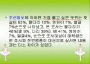 [여성과건강]대학생들의 다이어트 실태조사 18페이지