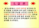 [여성과건강]대학생들의 다이어트 실태조사 19페이지