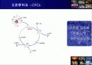 환경인가 성장인가(지속가능한 발전을 위하여) 18페이지