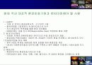 환경인가 성장인가(지속가능한 발전을 위하여) 39페이지