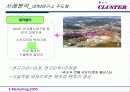 클러스터 성공사례분석(A+레포트) - 사례분석, 국내 클러스터의 과제 및 발전전략 17페이지