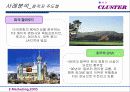 클러스터 성공사례분석(A+레포트) - 사례분석, 국내 클러스터의 과제 및 발전전략 21페이지