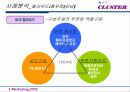 클러스터 성공사례분석(A+레포트) - 사례분석, 국내 클러스터의 과제 및 발전전략 22페이지