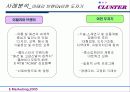 클러스터 성공사례분석(A+레포트) - 사례분석, 국내 클러스터의 과제 및 발전전략 26페이지
