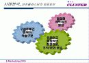 클러스터 성공사례분석(A+레포트) - 사례분석, 국내 클러스터의 과제 및 발전전략 30페이지