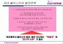 클러스터 성공사례분석(A+레포트) - 사례분석, 국내 클러스터의 과제 및 발전전략 35페이지